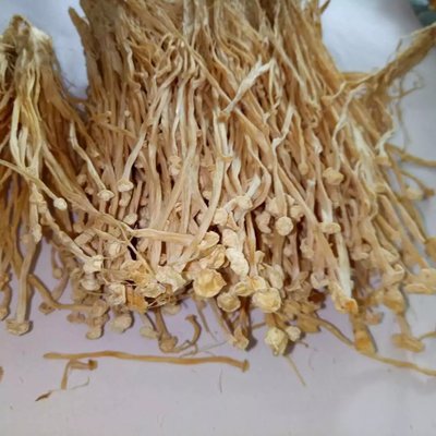 優質金針菇干貨 無硫農產品在酒店、提煉廠與畜牧漁業的多領域應用